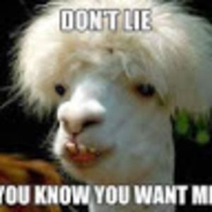 Meet your Posher, Samual